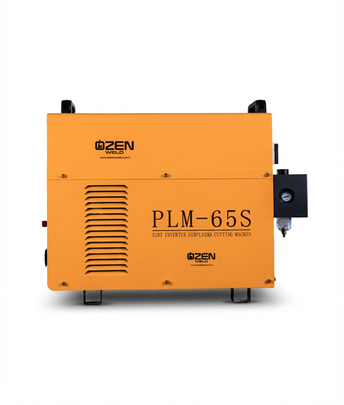 PLM 65
