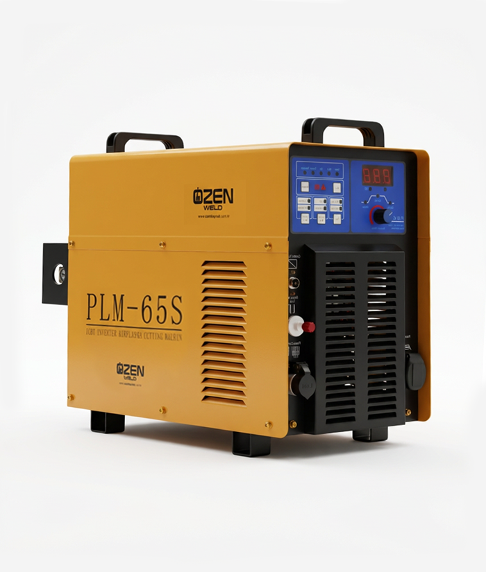 PLM 65