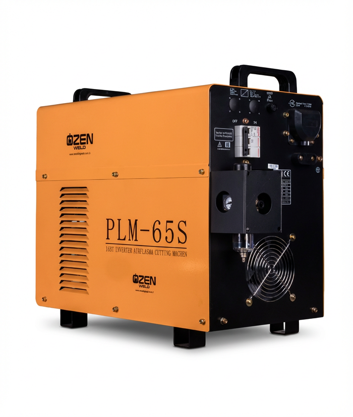 PLM 65